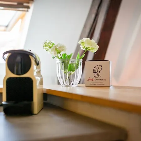 公寓 Elisabeth Confortable Avec Lit Double En Centre *