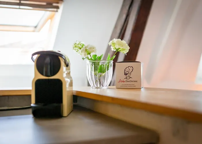 Apartment Elisabeth Confortable Avec Lit Double En Centre *